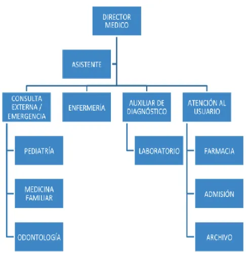 Figura 4: Organigrama de la Unidad de Atención Ambulatoria Cotacachi          Fuente: Plan Médico Funcional (IESS, 2014) 
