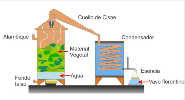 Figura 2. Destilación agua-vapor o vapor húmedo (Vidal, 2015) 