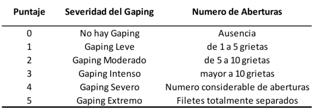 Tabla 1. Escala de severidad de Gaping 