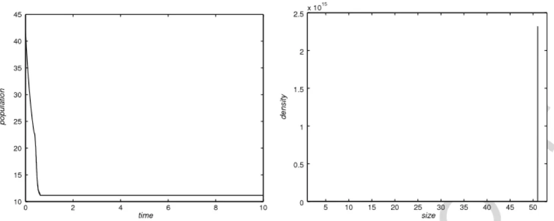 Fig. 2. Left-hand side: Evolution over time of total population computed with the first selection strategy (2.20)