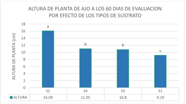 Figura 11: altura de planta a los 60 días de evaluación por efecto de los tipos de sustrato 