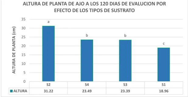 Figura 18: altura de planta a los 120 días de evaluación por efecto de los tipos de sustrato 