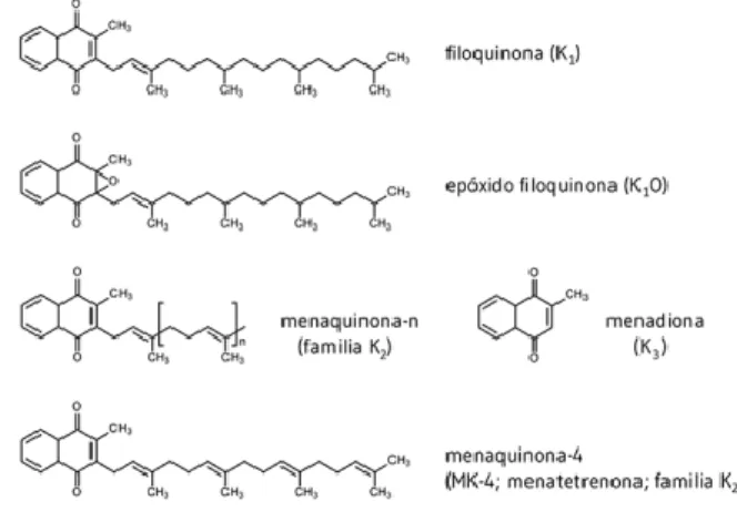 Figura 3. Estructuras químicas de distintas formas de la vitamina K. Fuente: 