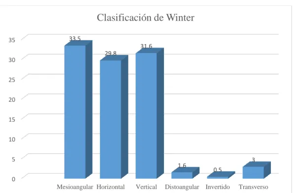 Gráfico 4 