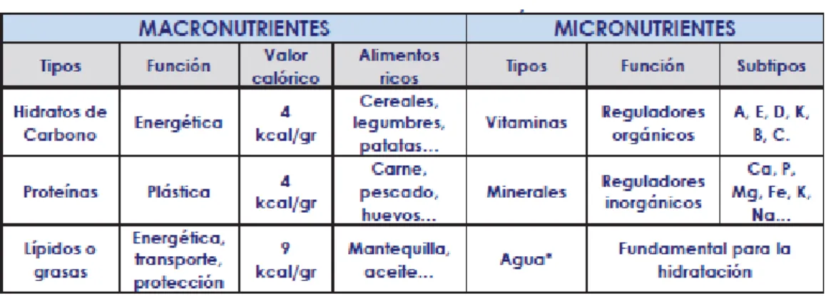 Tabla 7. Nutrientes: macronutrientes y micronutrientes (7).  