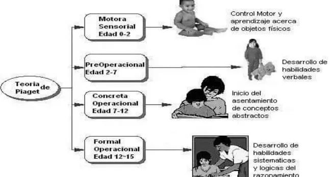 Figura 5 La evolución de los niños 