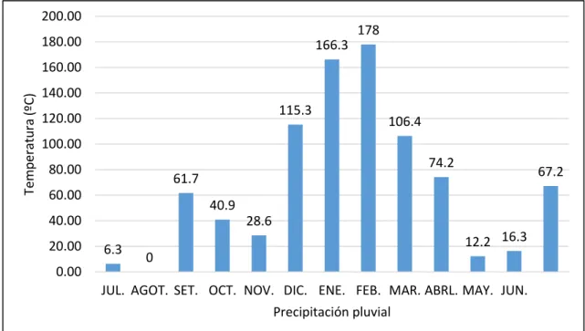 Figura 2.Precipitación pluvial (2017-2018). 