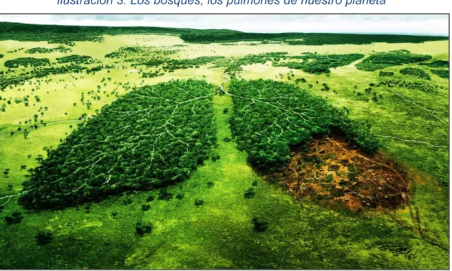Ilustración 3. Los bosques, los pulmones de nuestro planeta 