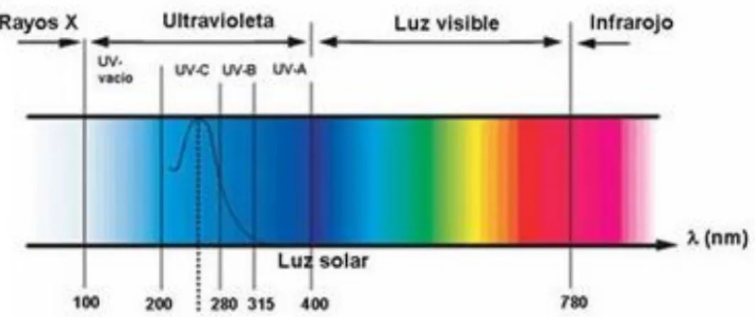 Figura 26. Espectro electromagnético ultravioleta-visible. 