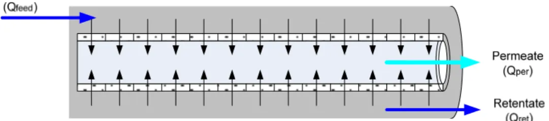 Figure 3.4-Transport of Water through a RO Membrane by Porosity and/or Diffusion. 