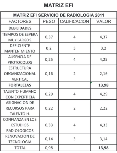 TABLA Nº 34  MATRIZ EFI 