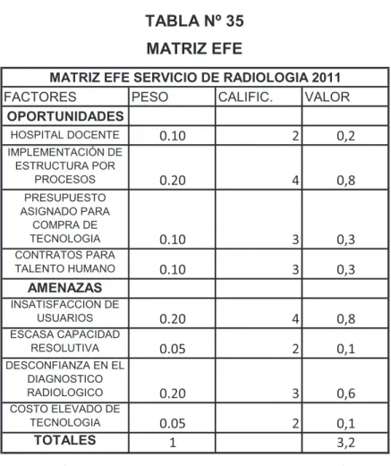 TABLA Nº 35  MATRIZ EFE 