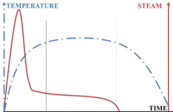 Fig. 2. Normal profiles of steam demand and temperature in an autoclave.