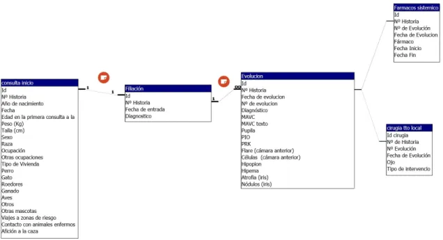 Figura 2 : La aplicación “uveítis en pacientes pediátricos” tiene 2 tablas (consulta inicio y  filiación localizadas a la izquierda) vinculadas por el campo Id en una relación de “uno a  uno” en estas dos tablas están los datos de filiación y los recogidos