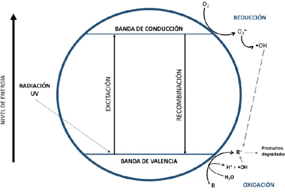 Figura  6. Diagrama esquemático de la fotocatálisis con TiO 2 . 