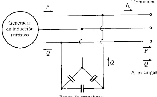 Figura 3.8: Generador de inducción aislado cuyo banco de capacitores suministra la  potencia reactiva