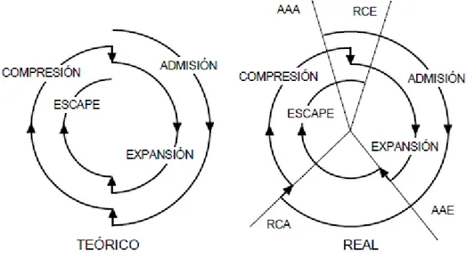 Fig. 2.8: Diagramas circulares de la distribución teórica y real de un motor de 4 tiempos