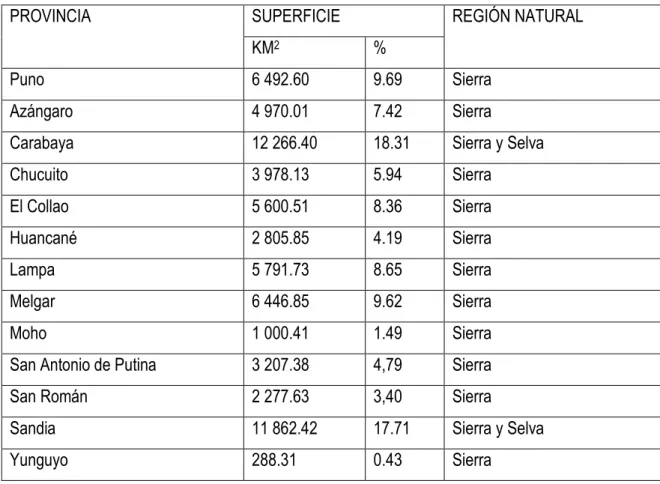 Tabla N° 02: Superficie región Puno. 