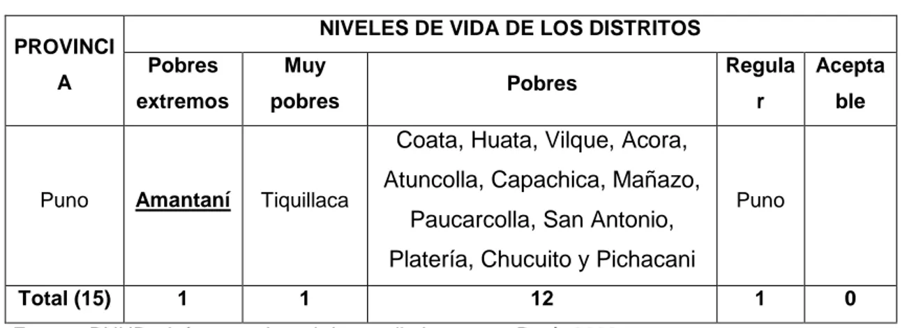 Tabla 7. Niveles de vida según distritos de la Provincia de Puno, 2000