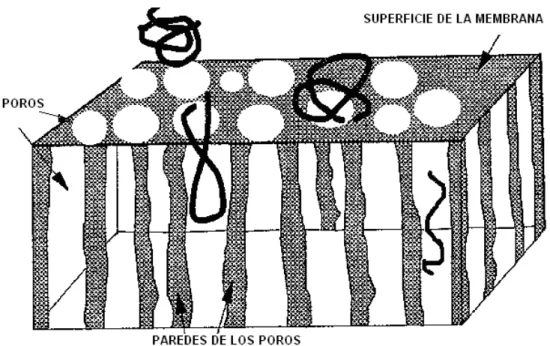 Figura 7: Esquema del efecto del tamaño y de las formas de las partículas 