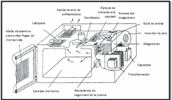 Figura 1.11. Elementos de un horno microondas doméstico
