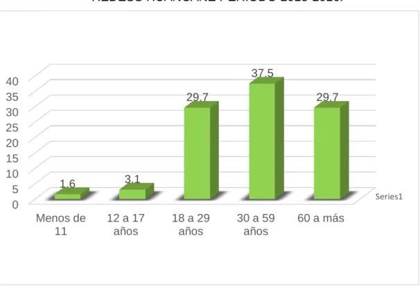 GRÁFICO N° 1 