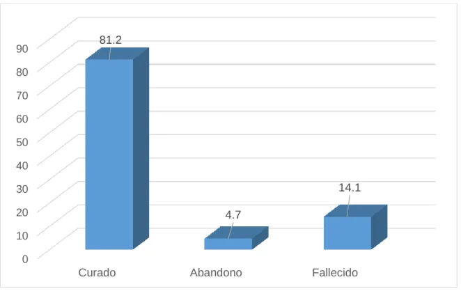 GRÁFICO N° 6 