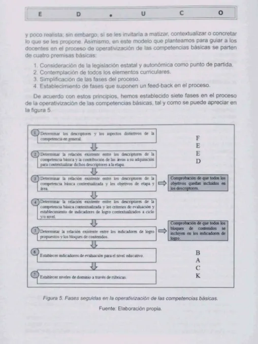 Figura  5.  Fases seguidas en  la  operalivizacíón de las competencias básicas. 