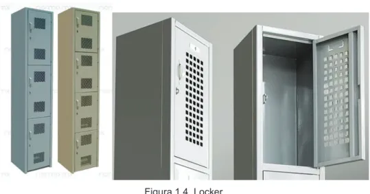 Figura 1.4. Locker. 