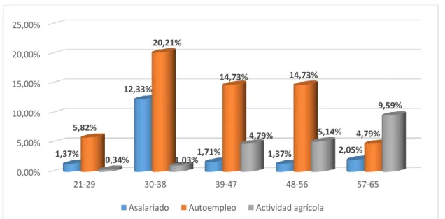 Figura 8: Ocupación del jefe de hogar por grupos de edad Fuente: Elaboración propia en base a las encuestas 