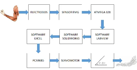 Figura 3.5 Diagrama de proceso a desarrollar en el proyecto 