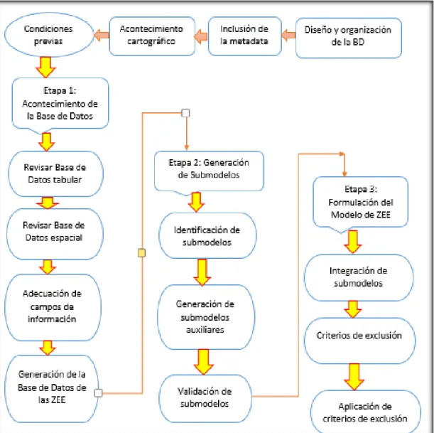 Figura  5. Etapas del proceso de modelamiento 