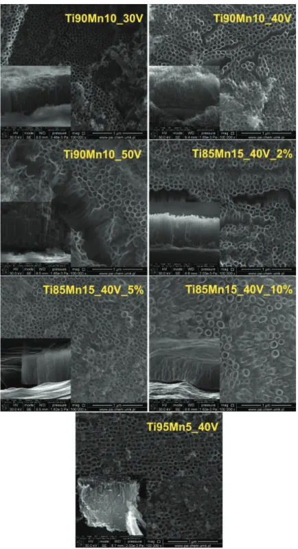 Figura 3.6. Imágenes SEM de la vista superior y de sección transversal de los NTs de  TiO 2 -MnO 2