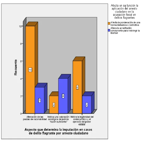 Figura 9. Aspectos que determinan la imputación en casos de delitos flagrantes 