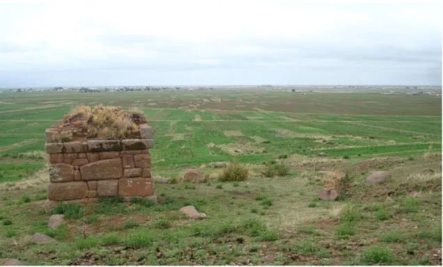 Figura 6. Chulpa de Sancuta, distrito de Pilcuyo, provincia de El Collao, Puno. Enero  2017