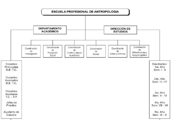 GRÁFICO Nº 1  Organización jerárquica 