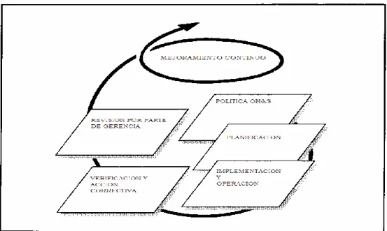 Figura 4. Elementos de una gestión de la SSO. 