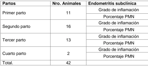 cuadro  1 Distribución de los animales para experimentación 