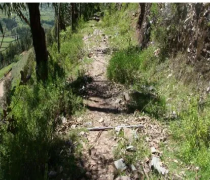 Figura 10. Camino prehispánico que va hacia el sitio de Pitukalla,  ubicado al SE del valle de Tambobamba