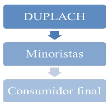 Figura 3: Canal de distribución de Duplach  Fuente: www.duplach.com 