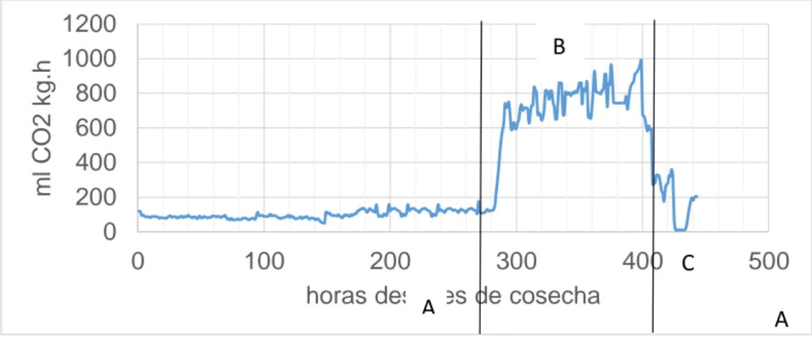 Figura 7. Intensidad respiratoria para palta Hass en postcosecha  A= Pre-climatérico, B= Clímax-climatérico, C= Pos-climatérico 