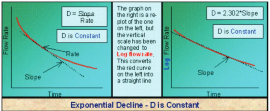 Figura 1.1.6 Curvas de declinación exponencial  (Fuente: www.fekete.com)