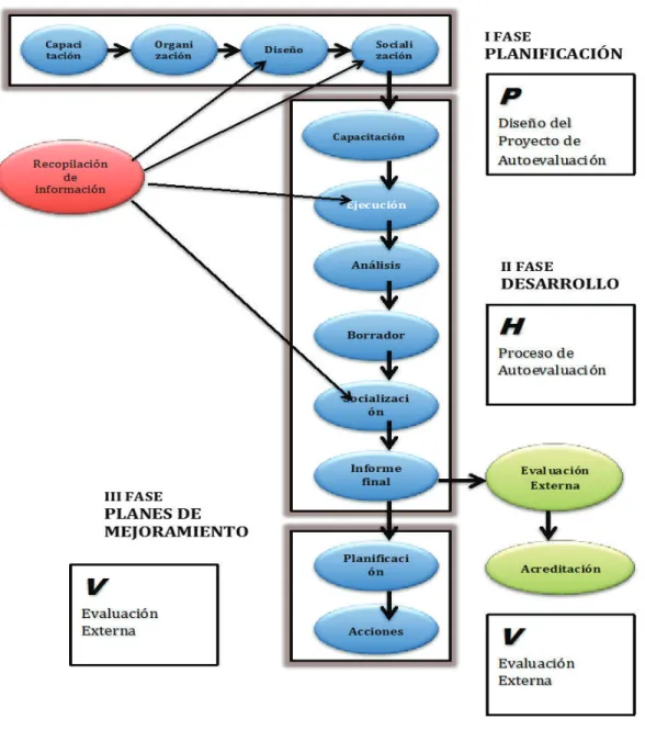 Figura 5 Fases de autoevaluación