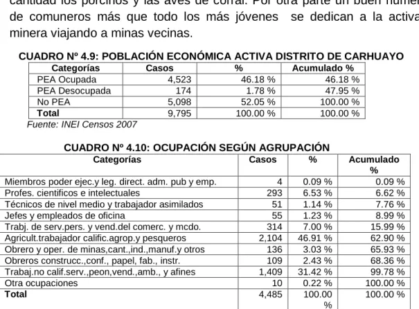 CUADRO Nº 4.10: OCUPACIÓN SEGÚN AGRUPACIÓN 