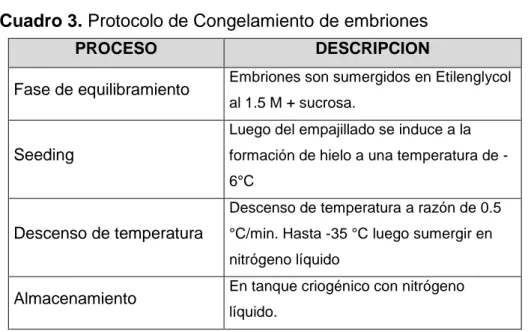 Cuadro 3. Protocolo de Congelamiento de embriones 