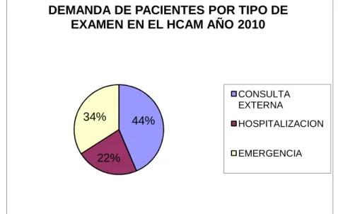 Gráfico  6  Demanda de pacientes por tipo de examen en el HCAM año 2010 