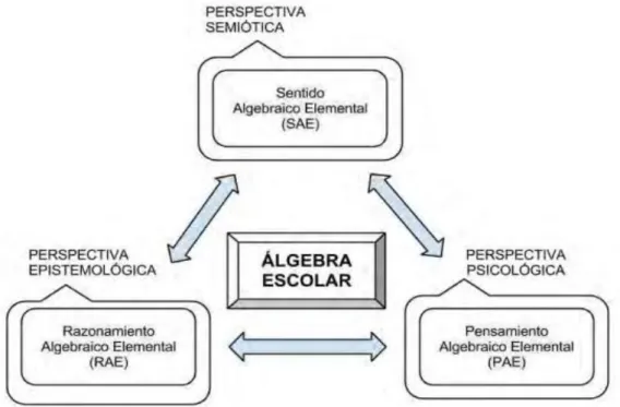 Figura 3: Enfoque transdisciplinar del álgebra escolar. 