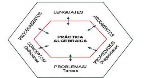 Figura 4: Tipos de objetos implicados en la práctica algebraica. 
