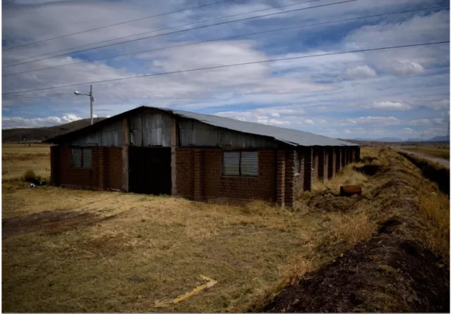 Figura 10. Vista frontal de uno de los almacenes de la EEA a la derecha se nota la carretera antigua a Sillustani, 2017