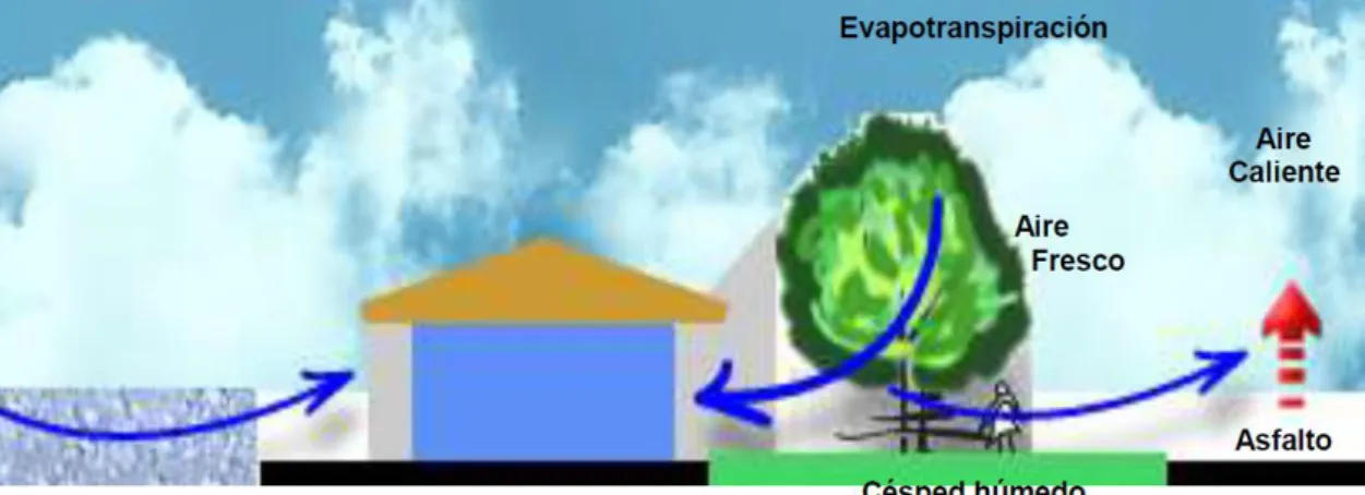Figura 15: Esquema de ventilación. 